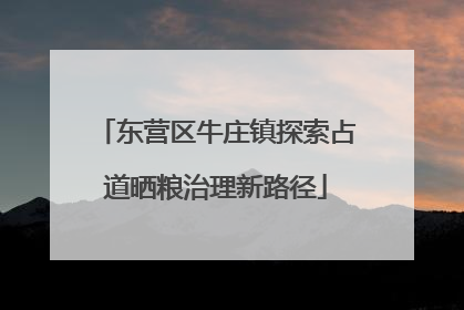 东营区牛庄镇探索占道晒粮治理新路径