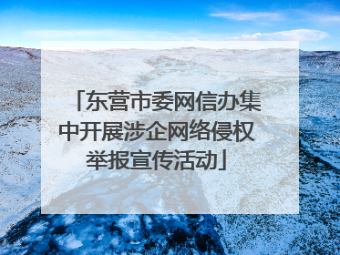 东营市委网信办集中开展涉企网络侵权举报宣传活动
