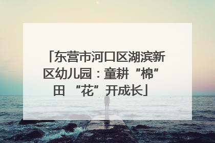 东营市河口区湖滨新区幼儿园：童耕“棉”田 “花”开成长