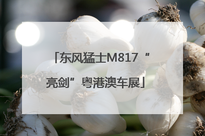 东风猛士M817“亮剑”粤港澳车展