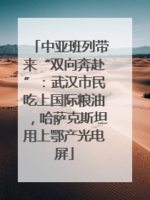 中亚班列带来“双向奔赴”：武汉市民吃上国际粮油，哈萨克斯坦用上鄂产光电屏