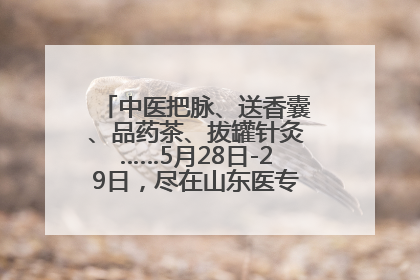 中医把脉、送香囊、品药茶、拔罐针灸……5月28日-29日，尽在山东医专附属医院中医夜市