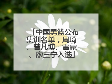 中国男篮公布集训名单，周琦、曾凡博、雷蒙、廖三宁入选