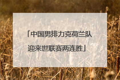 中国男排力克荷兰队 迎来世联赛两连胜
