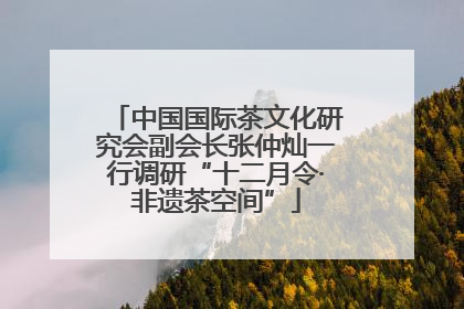 中国国际茶文化研究会副会长张仲灿一行调研“十二月令·非遗茶空间”