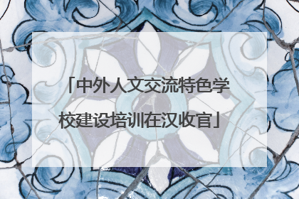 中外人文交流特色学校建设培训在汉收官
