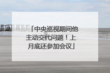 中央巡视期间他主动交代问题！上月底还参加会议