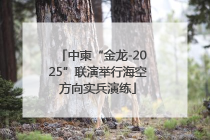 中柬“金龙-2025”联演举行海空方向实兵演练