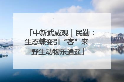 中新武威观｜民勤：生态蝶变引“客”来 野生动物乐逍遥
