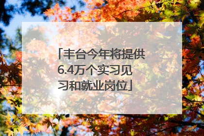 丰台今年将提供6.4万个实习见习和就业岗位