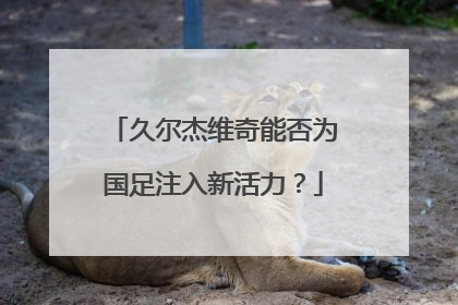 久尔杰维奇能否为国足注入新活力？