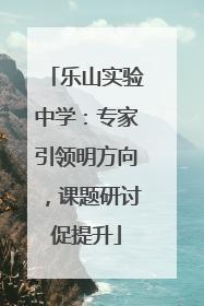 乐山实验中学：专家引领明方向，课题研讨促提升