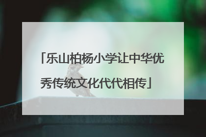 乐山柏杨小学让中华优秀传统文化代代相传
