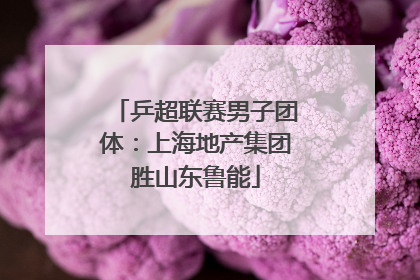 乒超联赛男子团体：上海地产集团胜山东鲁能