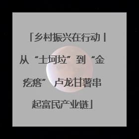 乡村振兴在行动丨从“土坷垃”到“金疙瘩” 卢龙甘薯串起富民产业链