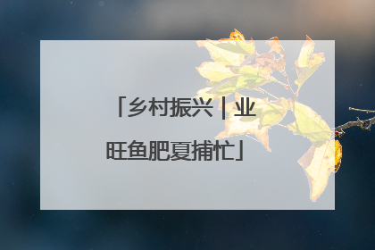 乡村振兴｜业旺鱼肥夏捕忙