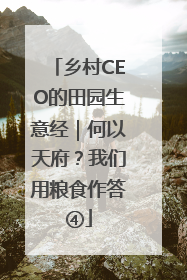 乡村CEO的田园生意经｜何以天府？我们用粮食作答④