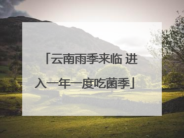 云南雨季来临 进入一年一度吃菌季