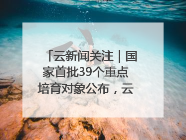 云新闻关注｜国家首批39个重点培育对象公布，云南有3个