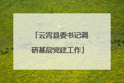 云霄县委书记调研基层党建工作
