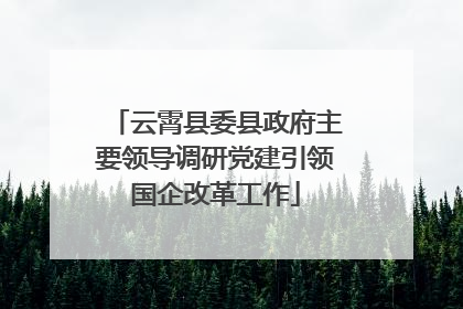 云霄县委县政府主要领导调研党建引领国企改革工作