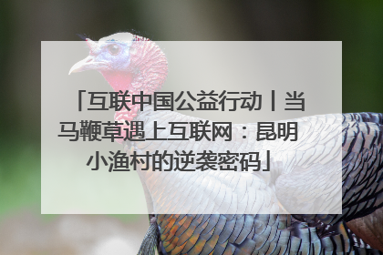 互联中国公益行动丨当马鞭草遇上互联网：昆明小渔村的逆袭密码