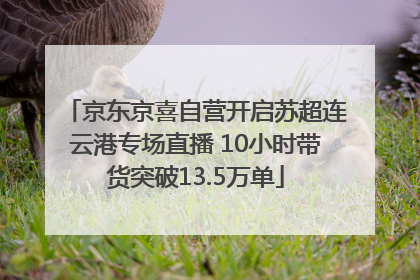 京东京喜自营开启苏超连云港专场直播 10小时带货突破13.5万单