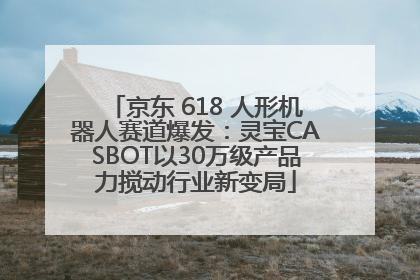京东 618 人形机器人赛道爆发：灵宝CASBOT以30万级产品力搅动行业新变局