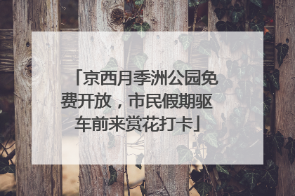 京西月季洲公园免费开放，市民假期驱车前来赏花打卡