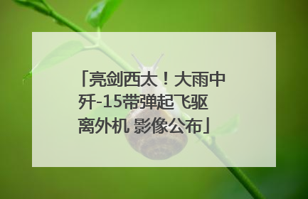 亮剑西太！大雨中歼-15带弹起飞驱离外机 影像公布
