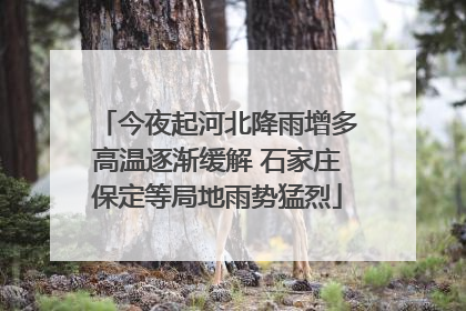 今夜起河北降雨增多高温逐渐缓解 石家庄保定等局地雨势猛烈