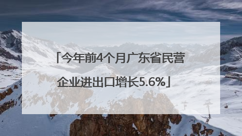 今年前4个月广东省民营企业进出口增长5.6%