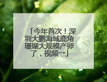 今年首次！深圳大鹏海域鹿角珊瑚大规模产卵了，视频→