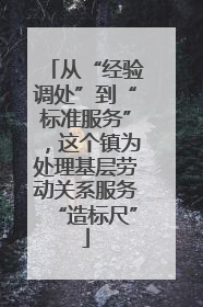 从“经验调处”到“标准服务”，这个镇为处理基层劳动关系服务“造标尺”