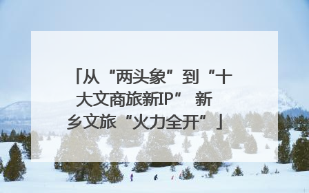 从“两头象”到“十大文商旅新IP” 新乡文旅“火力全开”