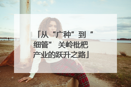 从“广种”到“细管” 关岭枇杷产业的跃升之路