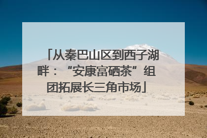 从秦巴山区到西子湖畔：“安康富硒茶”组团拓展长三角市场