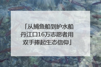 从捕鱼船到护水船 丹江口16万志愿者用双手捧起生态信仰