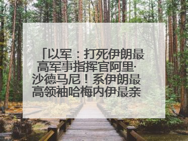 以军：打死伊朗最高军事指挥官阿里·沙德马尼！系伊朗最高领袖哈梅内伊最亲密的人之一