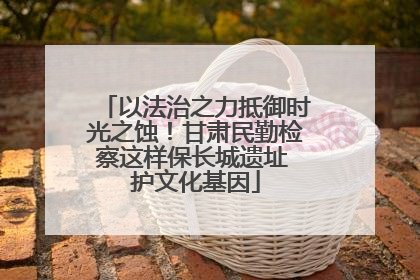 以法治之力抵御时光之蚀！甘肃民勤检察这样保长城遗址 护文化基因