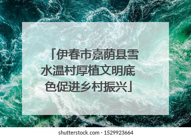 伊春市嘉荫县雪水温村厚植文明底色促进乡村振兴