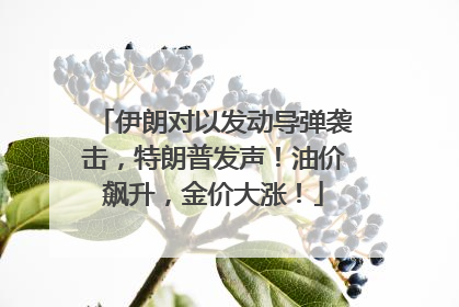 伊朗对以发动导弹袭击，特朗普发声！油价飙升，金价大涨！