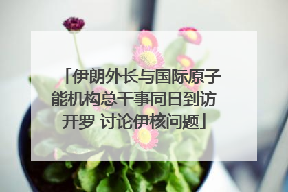 伊朗外长与国际原子能机构总干事同日到访开罗 讨论伊核问题