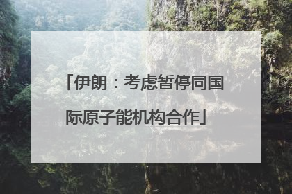 伊朗：考虑暂停同国际原子能机构合作