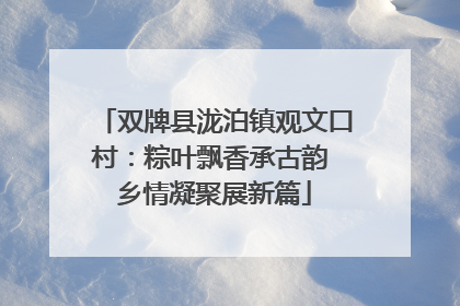 双牌县泷泊镇观文口村：粽叶飘香承古韵 乡情凝聚展新篇