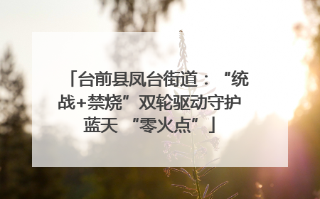 台前县凤台街道：“统战+禁烧”双轮驱动守护蓝天 “零火点”