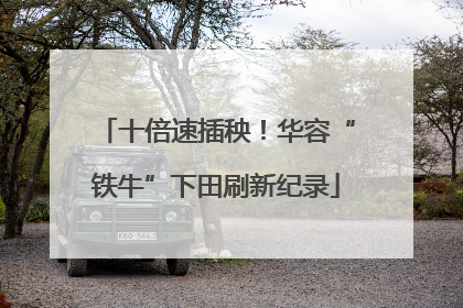 十倍速插秧！华容“铁牛”下田刷新纪录