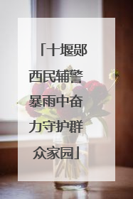 十堰郧西民辅警暴雨中奋力守护群众家园