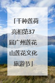 千种莲荷亮相第37届广州莲花山莲花文化旅游节