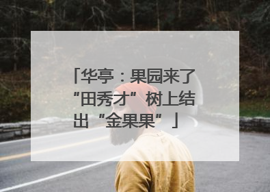 华亭：果园来了“田秀才”树上结出“金果果”